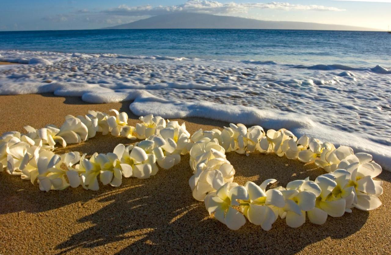 Mountain View Getaway, Free Parking And Beach Steps Away Honolulu Exterior photo